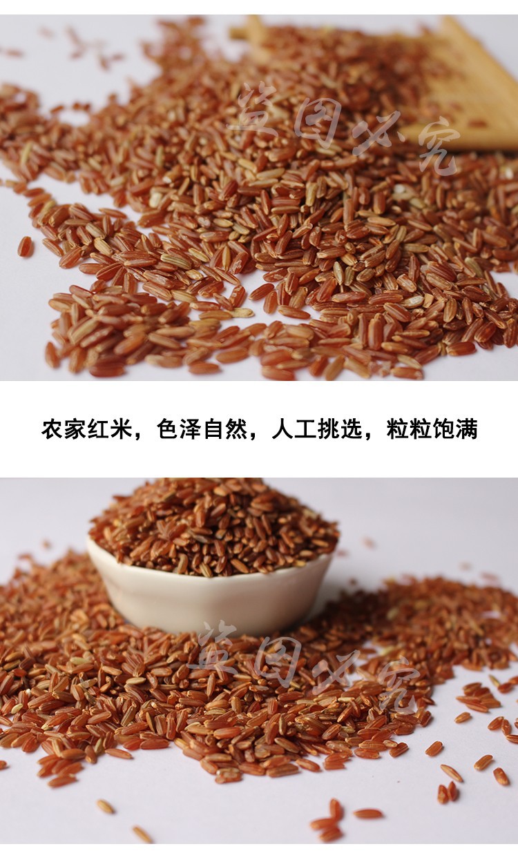 红米种子洋县高产红籼米种子红米种子特色水稻种子1千克