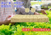 【捷丰】厂家提供大棚番茄无土栽培农用岩棉育苗块  基质种植块