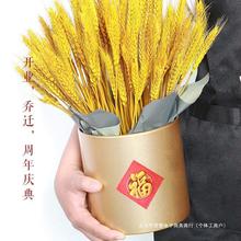 干花小麦天然麦穗开业花篮田园装饰礼品拍摄道具小麦干花真花插花