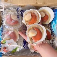 冷冻迎海扇贝虾夷扇贝半壳扇贝新鲜速冻餐厅商用食材1kg*10包一件