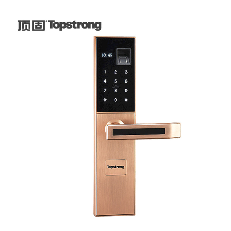 顶固指纹锁家用磁卡电子指纹锁安置房公寓智能密码防盗门锁公寓锁
