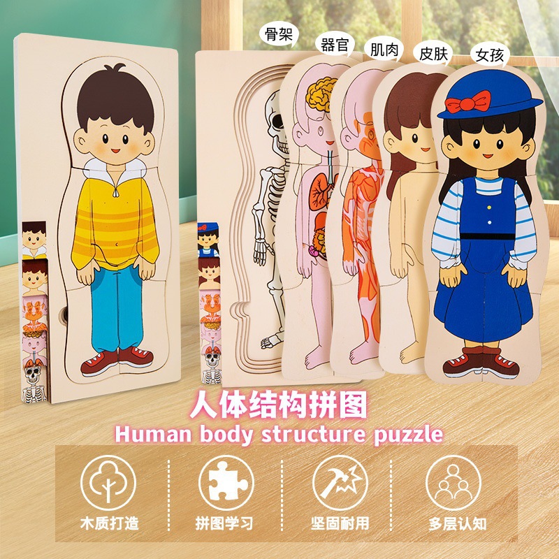 跨境男孩女孩身体结构认知拼图幼儿园教具多层人体器官拼图嵌板