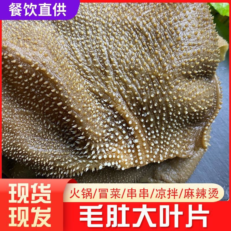 火锅店黑毛肚5斤装鲜脆大叶片毛肚牛百叶涮火锅食材鲜牛肚牛杂