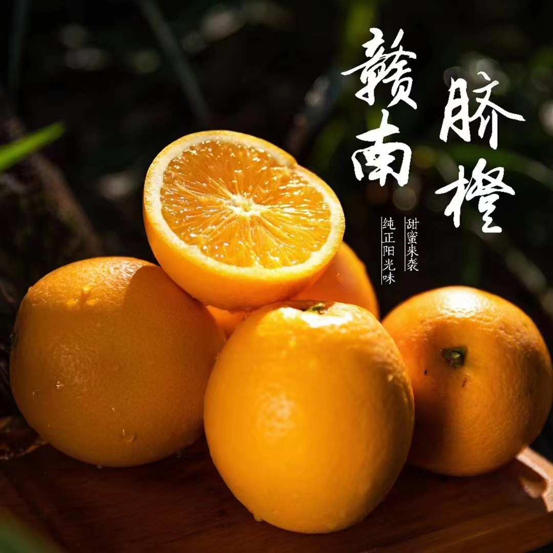 正宗江西赣州寻乌产地诚招代理5斤新鲜橙子现摘现发水果赣南脐橙