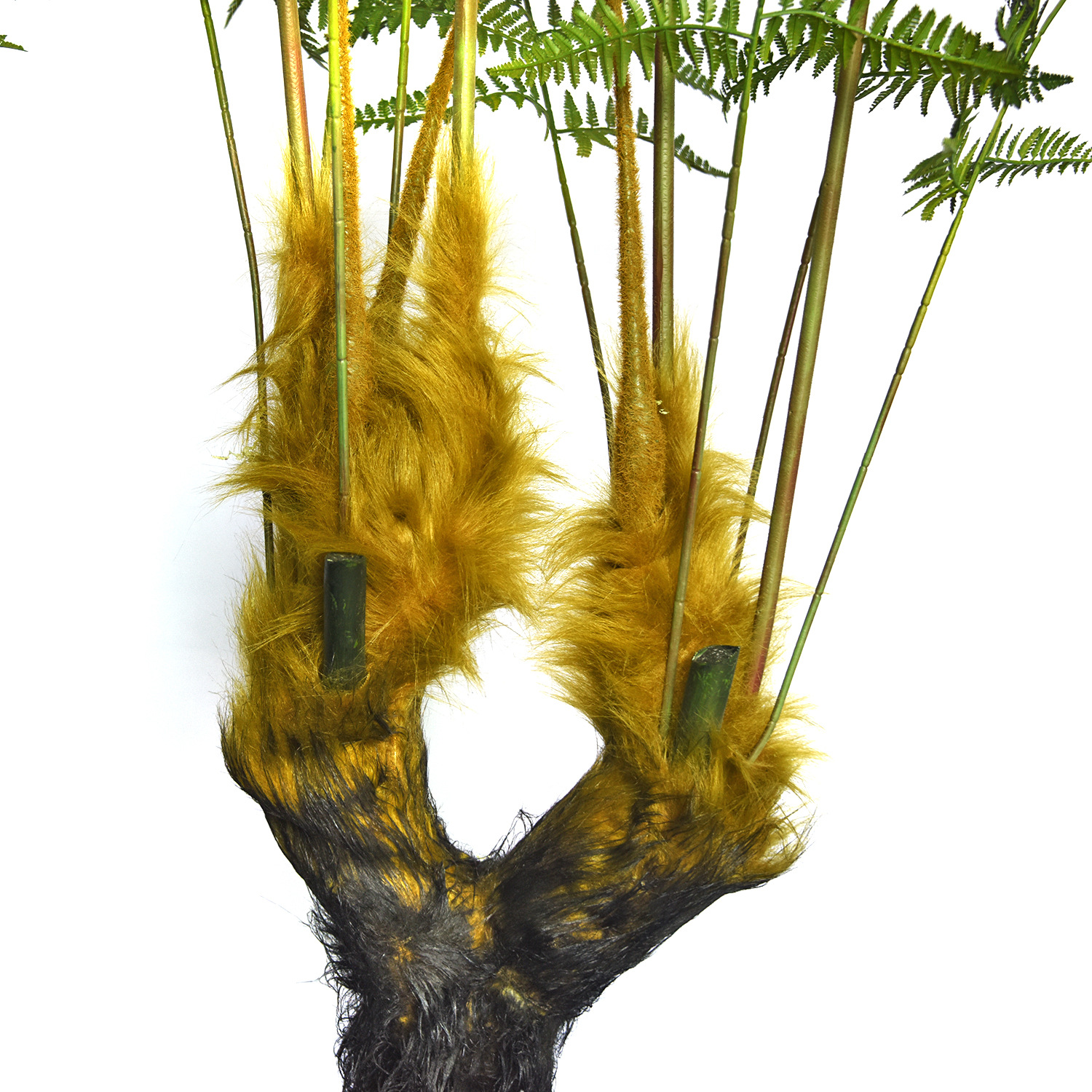 仿真猴蕨头树仿真绿植蕨草软装室内落地装饰蕨类盆栽猴头蕨盆景