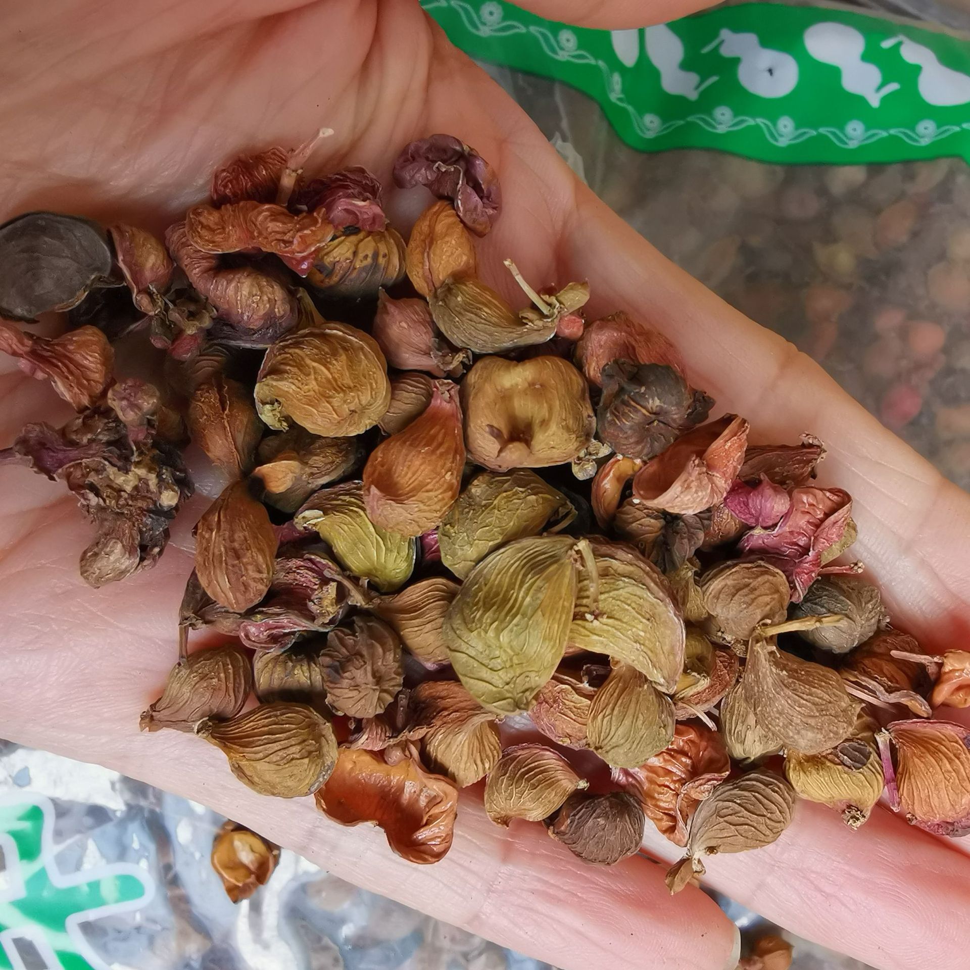 供应鸡朎花 野鸦椿 鸡肫子鸡腱花 野鸦椿子鸡灵花新货量大从优