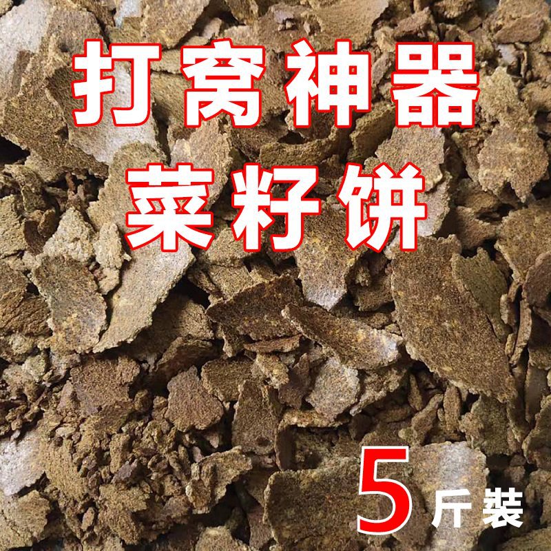 菜籽饼农家自榨油枯饼菜子饼钓鱼户外打窝神器野钓5斤