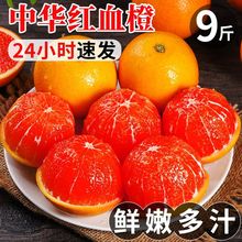 秭归血橙中华红橙红肉甜橙子新鲜水果礼盒5/9斤混批工厂代发批发