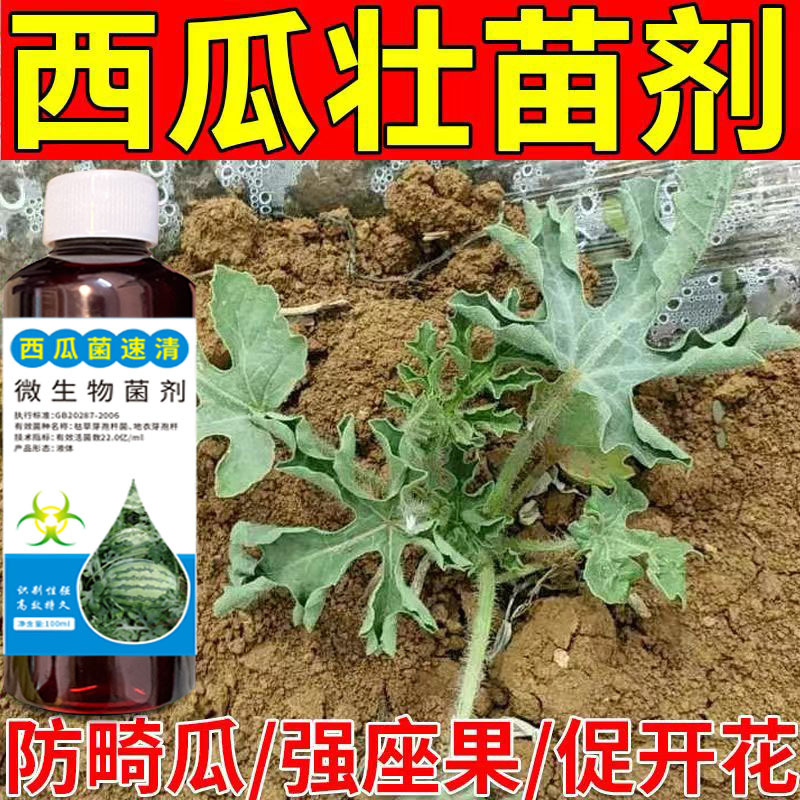 西瓜专用肥膨大增甜叶面肥水溶肥料抗病增产防裂防消瓜落瓜专用剂