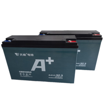 天能电池 真黑金石墨烯48v32ah二轮车三轮车电动车电瓶车铅酸电池