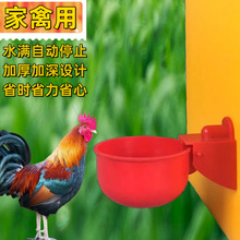 鸡鸭鹅自动水碗家禽饮水器养鸡养殖喂鸽子水满自停水碗鸡用喝水槽