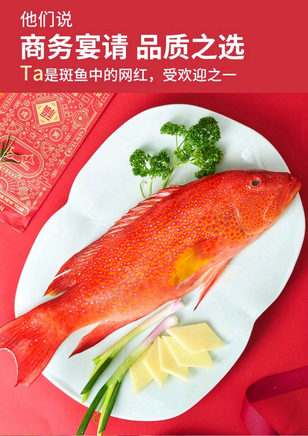 深海东星斑鲜活速冻红石斑鱼龙胆海鱼没小刺肉嫩辅食整条