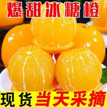 【特价卖】麻阳冰糖橙子新鲜应季水果一整箱薄皮批发价直发手剥橙