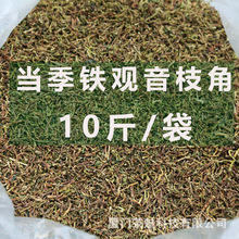 茶魅茶梗散装长茶根茶枝乌龙茶铁观音除味装修去甲醛做枕头车