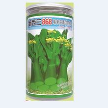 好阳光蔬菜种子新西兰868油青甜菜心（60天-70天）基地罐装450克