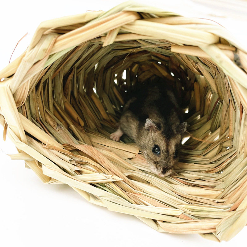 仓鼠躲避草窝草屋磨牙手工编织小宠草窝 仓鼠窝鹦鹉躲藏窝 鸟玩具