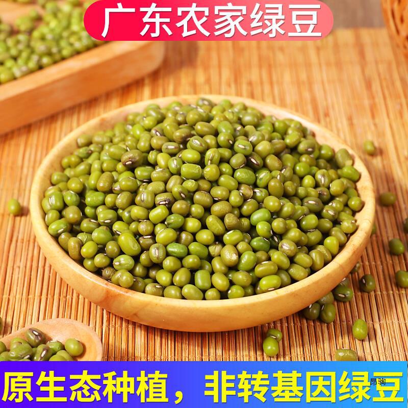 2斤新鲜绿豆非转基因广东农家有机小绿豆发生豆芽种子煮粥汤专用
