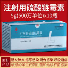 兽药批发大全500万单位注射用硫酸链霉素兽用猪牛羊鸡鸭抗菌国标