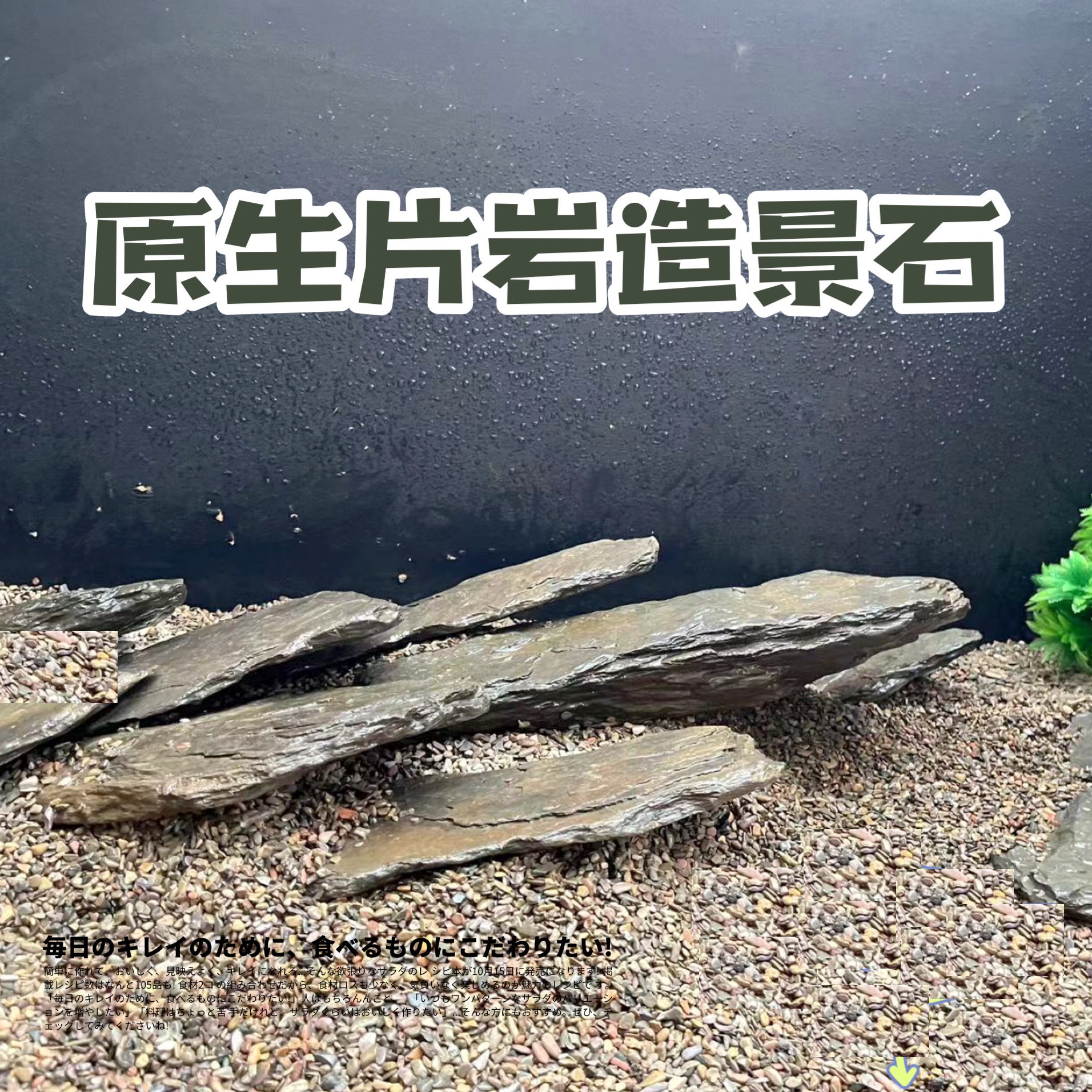 原生缸片岩造景石主石乌龟晒台水族造景装饰生态溪流石沙虾虎鳑鲏