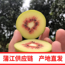 四川蒲江红心猕猴桃 奇异果大果一件代发批发应季水果