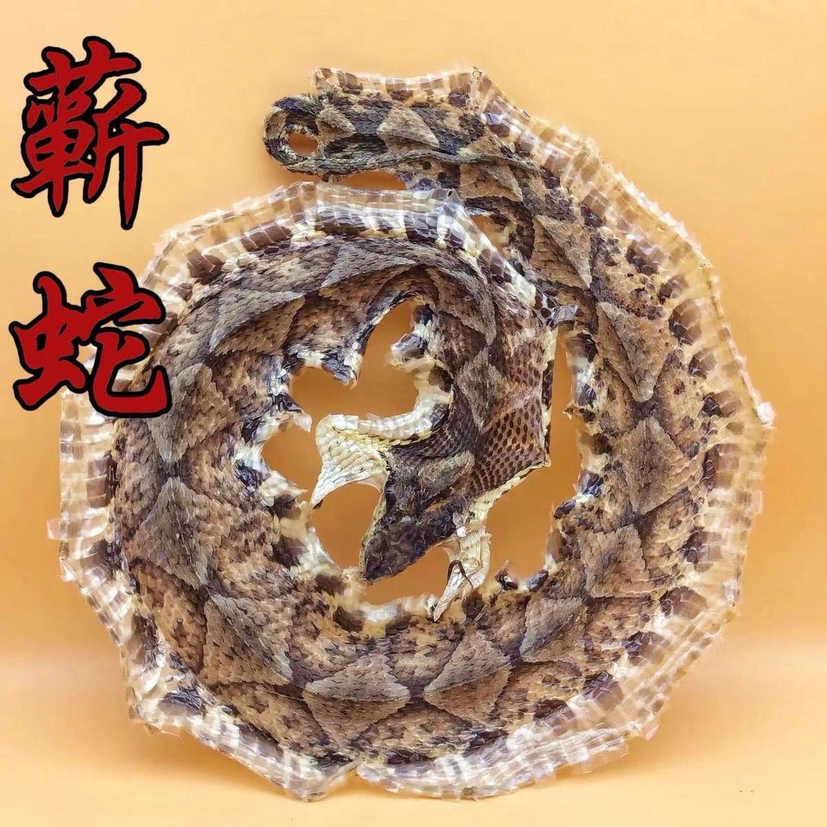 批发中药材 蕲蛇 蕲蛇干 免费打粉 实物拍摄-阿里巴巴