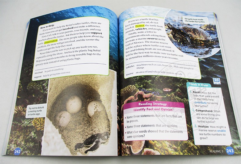 美国esl综合小学教材 第5级 学生书 英文原版 new cornerstone gr