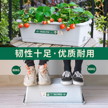 花盆塑料批发阳台种菜盆长方形家庭室内种菜长条盆蔬菜种植专用箱