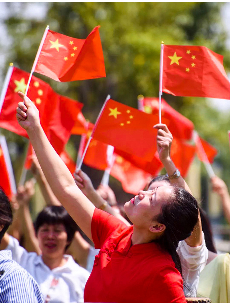 手摇旗 定制小国旗 手持小国旗活动庆典小红旗党旗手摇小国旗贴纸