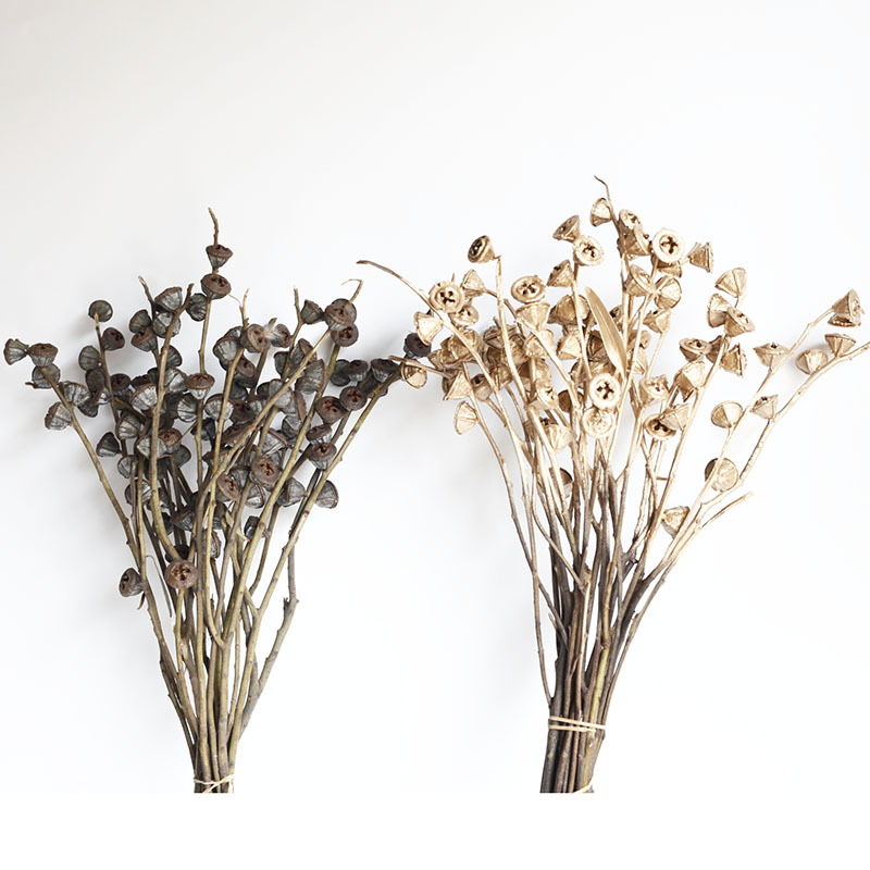 干花尤加利果十字果老果开口笑圣诞节花束配果云南工厂批发-阿里巴巴