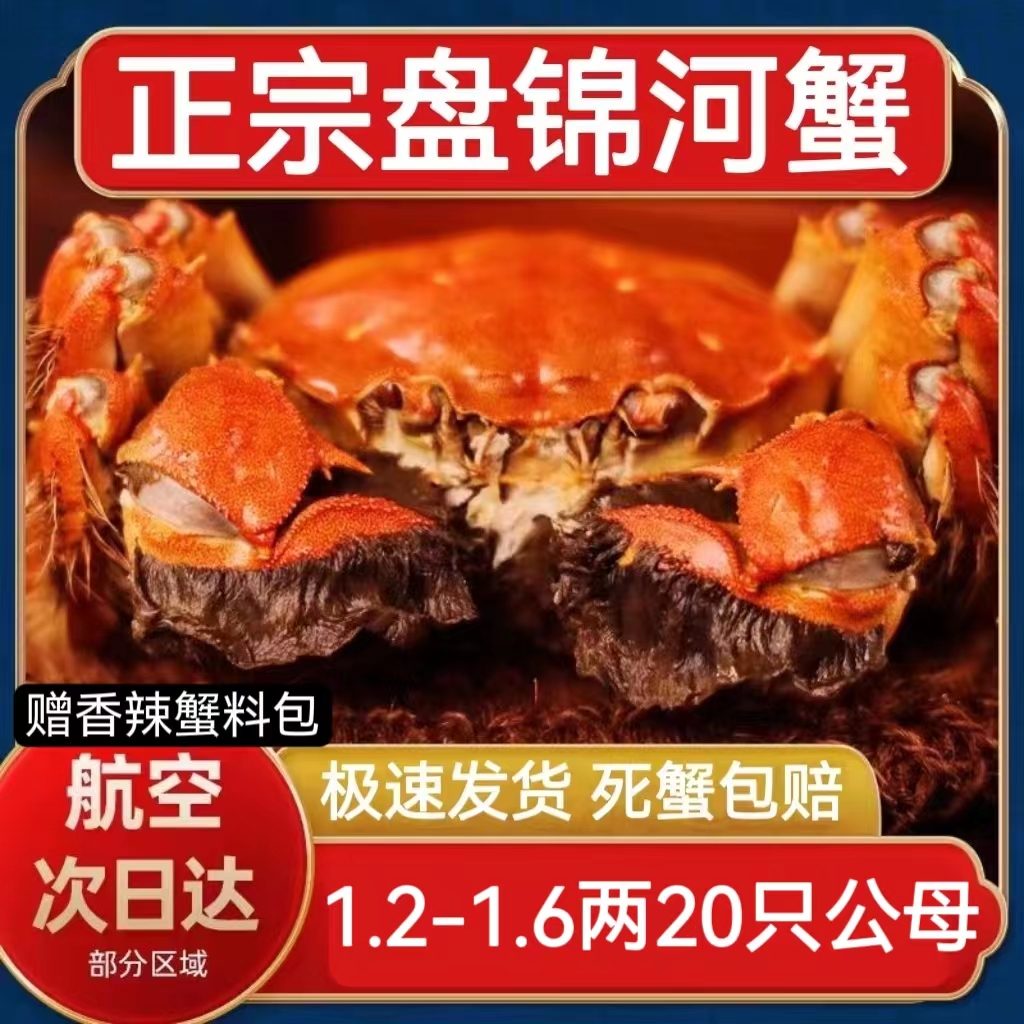 盘锦河蟹特大稻田蟹大闸蟹鲜活六月黄螃蟹公母蟹20只 1.2-1.