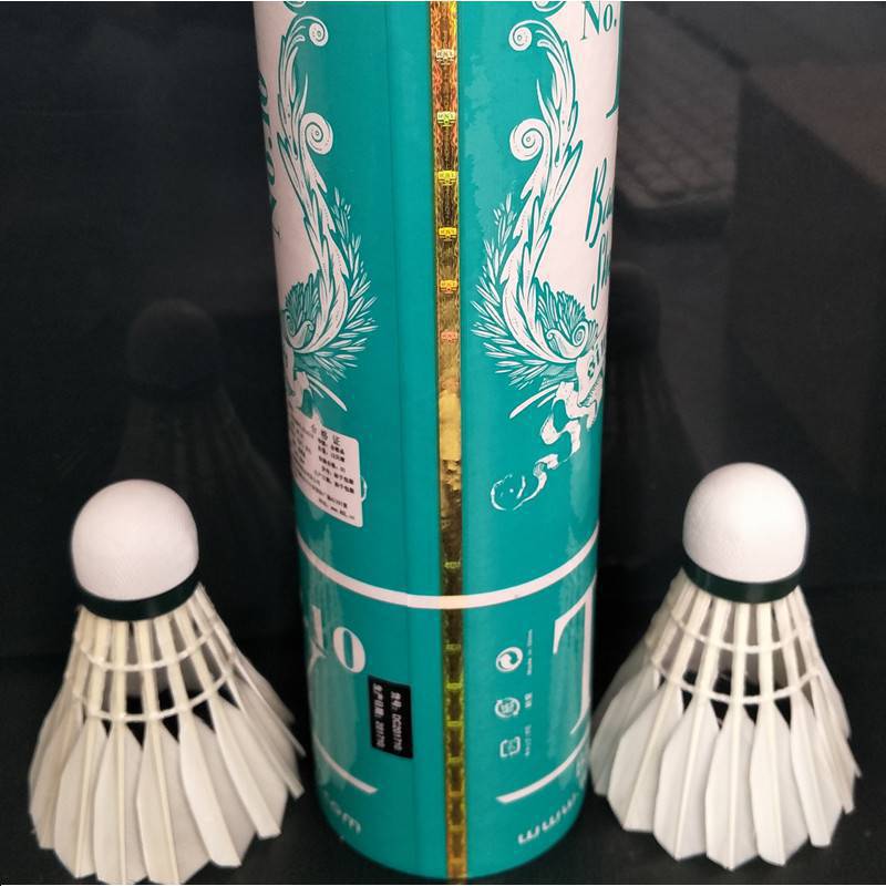 rsl亚狮龙10号球耐打12只 室内室外训练羽毛球学生鹚鸪鸭