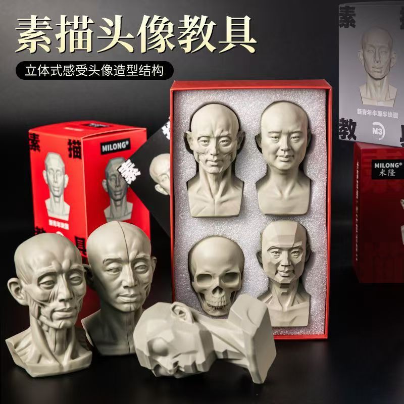 头头是道头像教具米隆写生美术素描石膏像肌肉树脂静物摆件模型