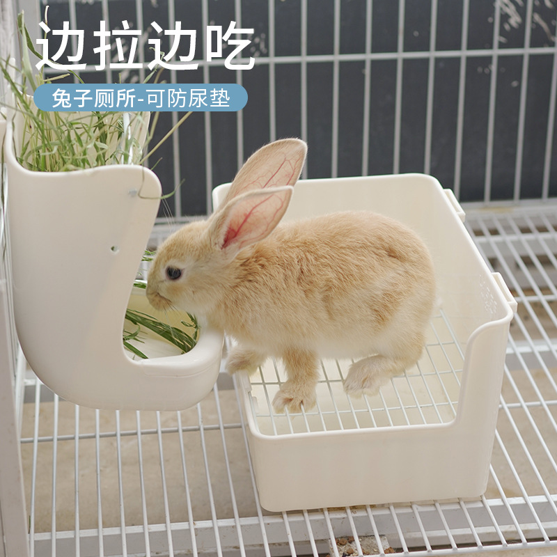 兔子厕所兔厕所专用尿盆便盆兔便盆侏儒兔垂耳兔安哥拉兔防喷尿