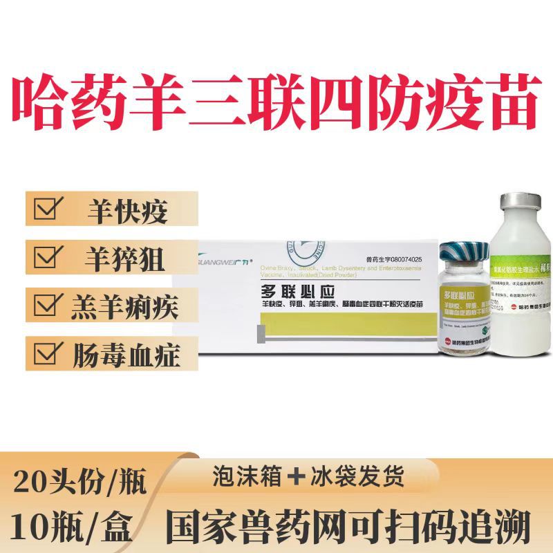 哈药羊三联四防疫苗羊疫苗山羊绵羊羔羊兽药羊药多联必应羊疫苗