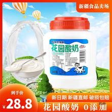 新疆产花园酸奶1.2kg大桶罐装原味低温酸奶全脂风味发酵乳