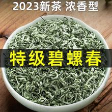 【精选品质】正宗碧螺春茶叶2023新茶明前浓香型云雾毛尖绿茶散装