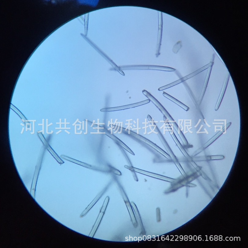 99%海绵骨针 海绵微针 水解海绵hydrolyzed soonge 微晶 厂家现货