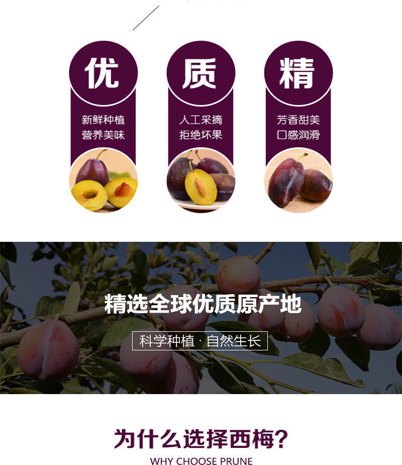 澳洲进口新鲜西梅鲜果新鲜水果李子当季时令孕妇水果胜智利西梅