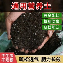 40斤大包营养土养花通用型肥料土壤种菜家用有机花泥花土专用