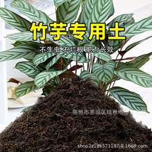 竹芋专用土营养土养花通用型家用盆栽泥土壤种植土花土有机肥料