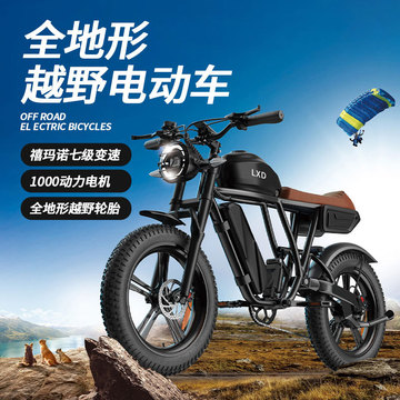 20寸越野两轮电动车 复古宽轮胎山地公路锂电变速助力电动自行车