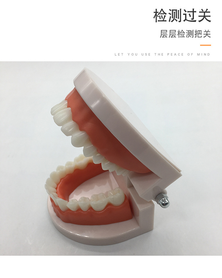 牙齿标准模型教学牙模型口腔齿科器械美牙冰瓷全瓷贴面贴片材料
