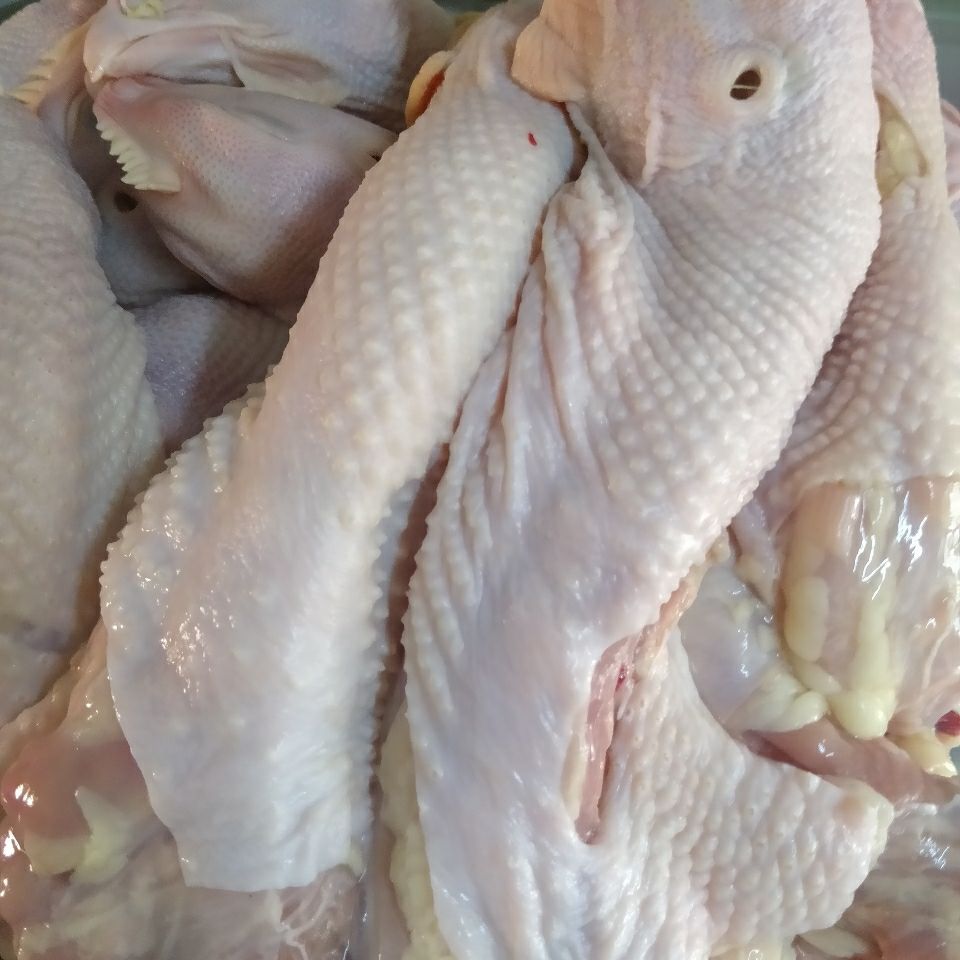 12成交0件新鲜鸡头鸡脖子带脖鸡头分割鸡批发卤味食材2斤/4斤6斤装