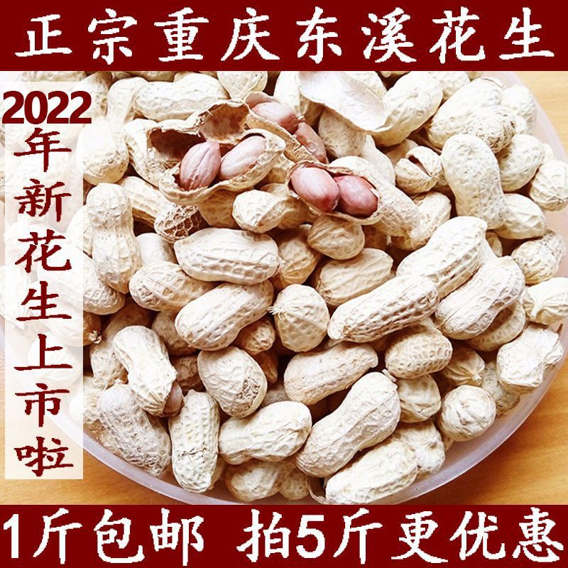 重庆綦江特产东溪花生农家水煮花生日晒干花生盐味花生1-5斤包邮