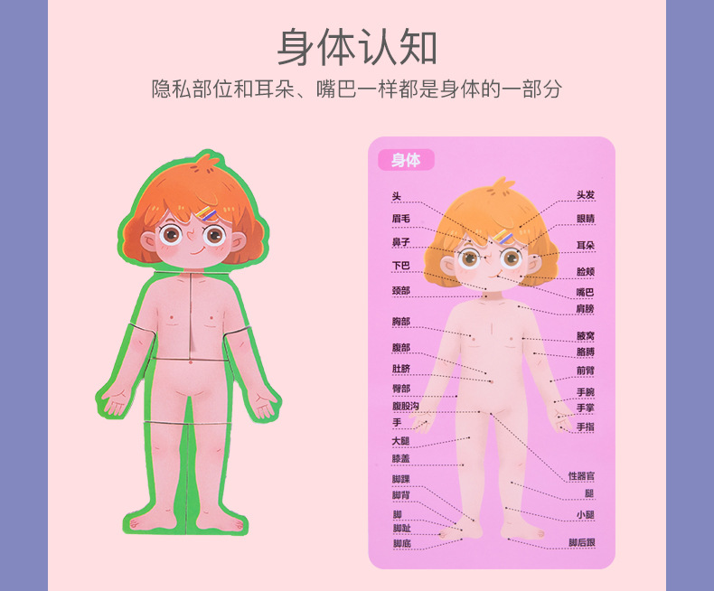 幼儿园磁性人体器官认知拼图拼板儿童身体结构认知科教木质玩具