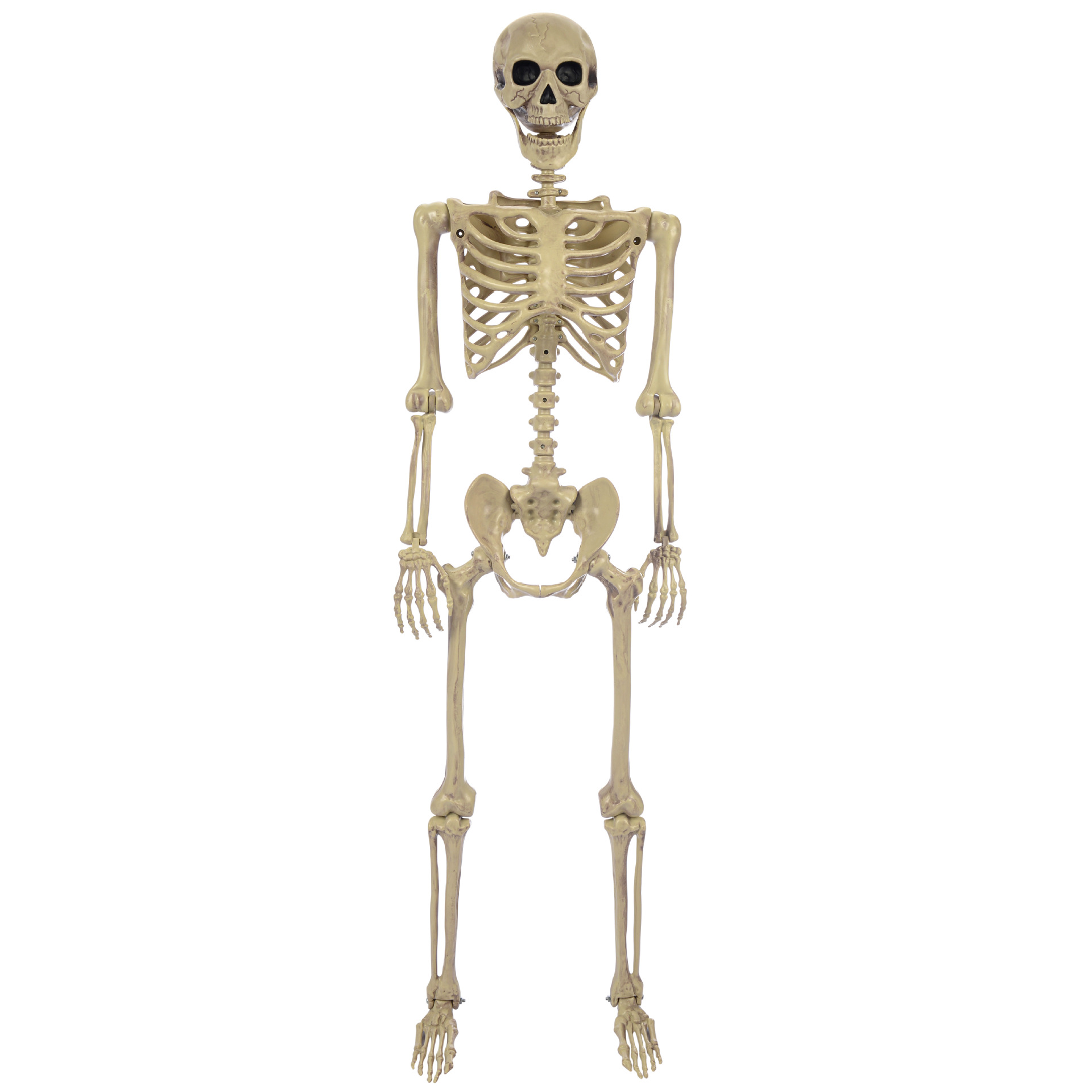 万圣节仿真骷髅摆件站立款高定大骷髅骨架发光鬼屋酒吧装饰道具