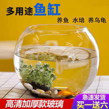 透明玻璃鱼缸客厅家用圆球鱼缸小型金鱼缸免换水懒人办公桌创意缸