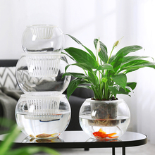 简约现代水培植物玻璃花瓶水养绿萝绿植插花器皿客厅桌面装饰咖佑