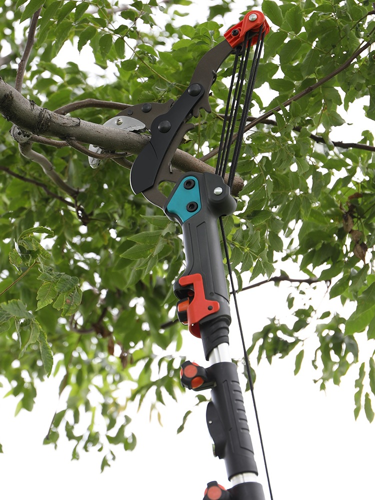 剪花园艺剪刀园林修枝剪加长修果树拉杆采龙眼嫁接高技园林绿化粗