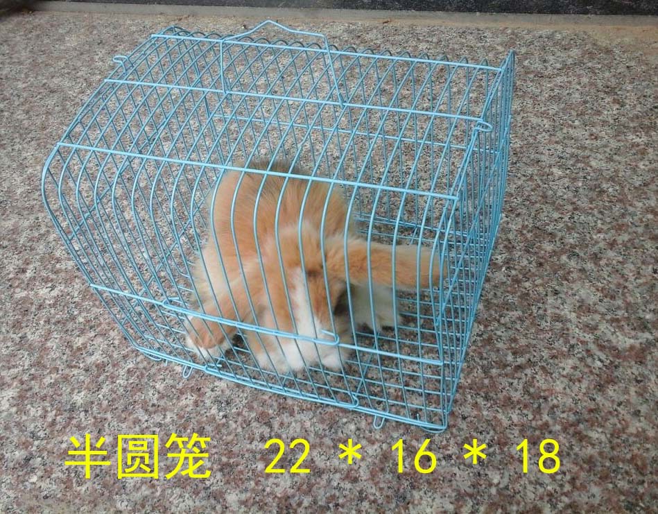 小兔子笼子手提铁丝小兔笼小兔笼松鼠笼小鸟笼鸽子笼荷兰猪运输笼